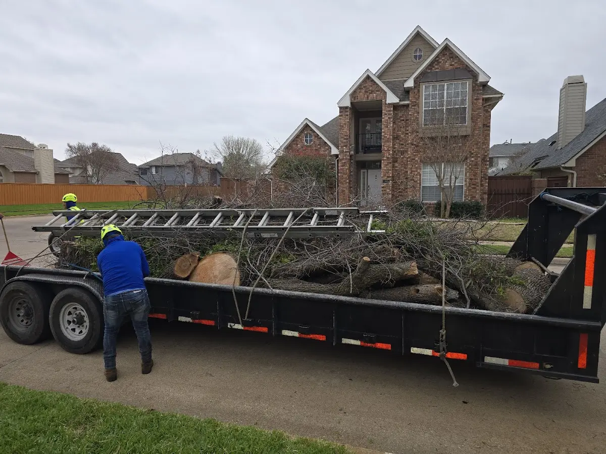 Expert Tree Pest Control with proper safety equipment in Bloomfield